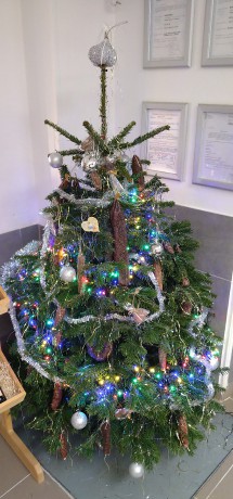 Náš Vánoční stromek